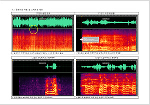 음원분석결과 보고서